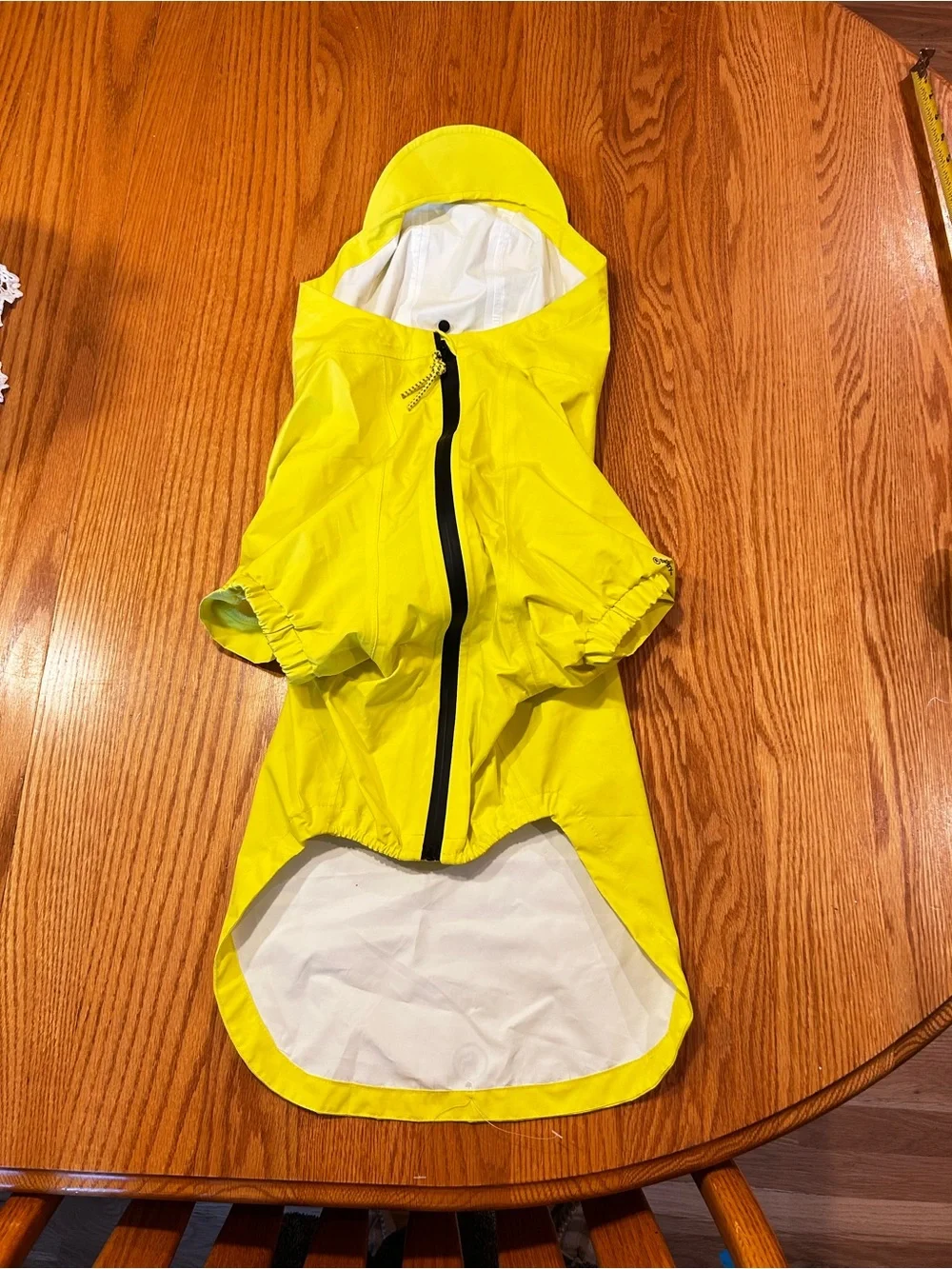 Backcountry waterproof yellow
